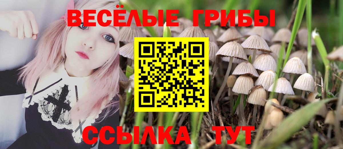 Псилоцибиновые грибы Magic Shrooms  Псилоцибиновые грибы прущие грибы  Вход с VPN  Анжеро-Судженск 