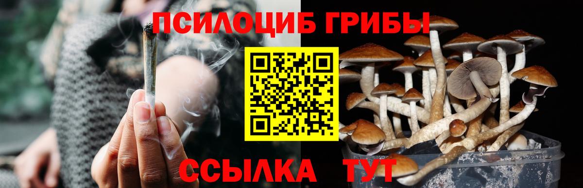 Псилоцибиновые грибы Magic Shrooms Анжеро-Судженск