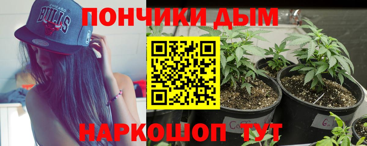 Каннабис VHQ  Вход с VPN  Конопля MAZAR  Анжеро-Судженск  Бошки Шишки сатива  Бошки марихуана White Widow 